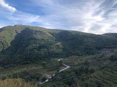 -白草畔自然风景区