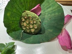 -叶叶菩提(太原别墅店)