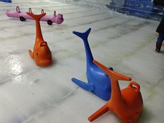 -宁波冰雪大世界(北仑区)