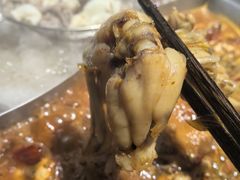 -铭记蛙小仙·活蛙畅享(CBD万达广场店)