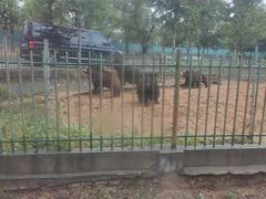 -秦皇岛野生动物园