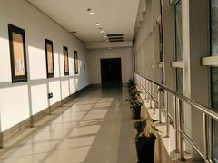 -上海中医药大学附属曙光医院(东部)