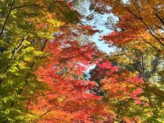 -醍醐寺