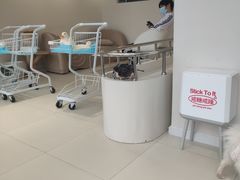 -怪兽屋·羊驼·猫咖·狗咖(俊华广场店)