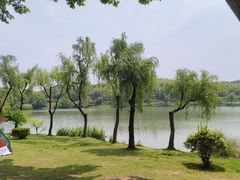 -宜兴龙背山森林公园