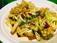 -大碗厨(东风路店)