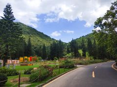 -深圳仙湖植物园-停车场