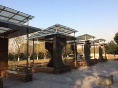 -昆山城市生态森林公园