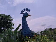 -东莞植物园