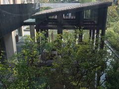 -上海崇明金茂凯悦酒店