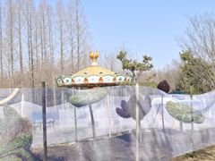 -东平国家森林公园