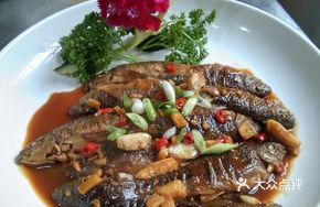 Changhua Stone Grouper