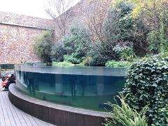 -洋湖国家湿地公园