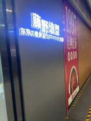 -藤野造型