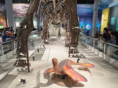 -国家自然博物馆