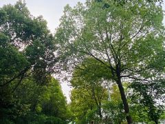 -南京金牛湖风景区