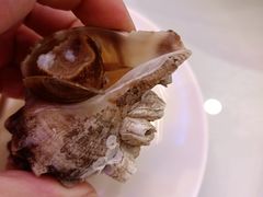 -老虎滩船说·海胆水饺·大连海鲜(老虎滩店)
