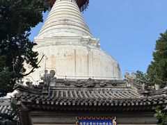-妙应寺白塔