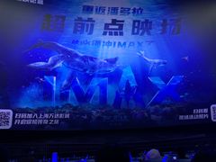 -寰映影城(大融城激光IMAX店)