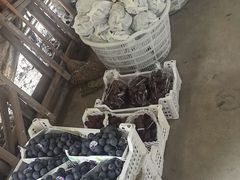 -马陆小张葡萄园农家乐