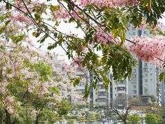 -四海公园(南山区)