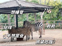 -郑州市动物园