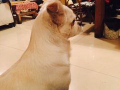 -哈尔滨北方国际青年旅舍(中央大街店)