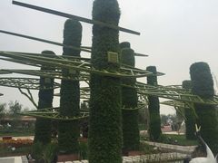 -武清南湖绿博园