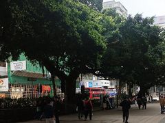 -九龙公园