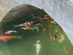 -河北村民俗体验园