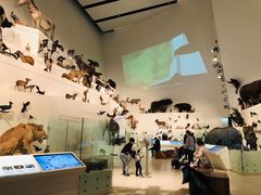 -墨尔本博物馆(Melbourne Museum)