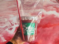 -南澳岛打卡果汁冰公司