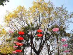 -广州市白云山风景名胜区