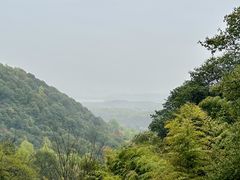 -韬光茶庵