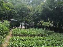 -故乡缘·香格里拉山庄(冷竹路店)
