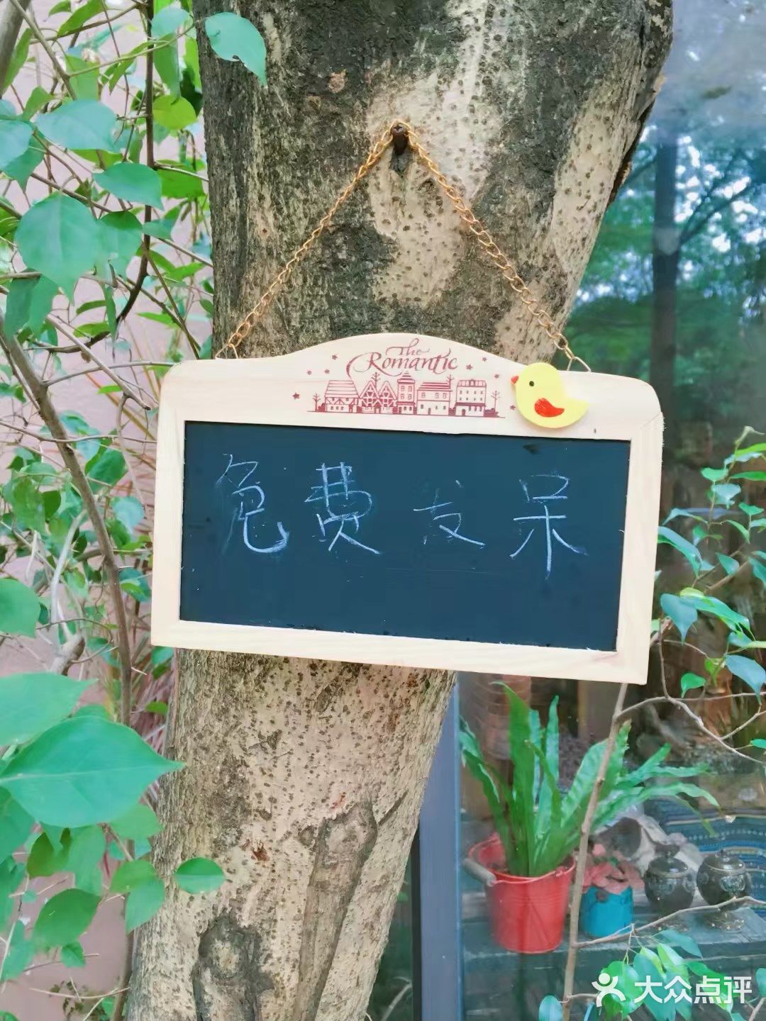 深圳旅游|深圳华侨城攻略