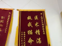 -汪喵宠物医院·骨科心脏影像·犬猫急重症ICU诊疗中心(成华分院)