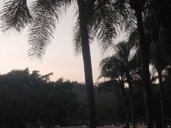 -深圳仙湖植物园