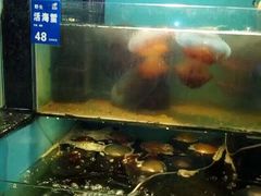 -长崎家日式料理(人民大街店)