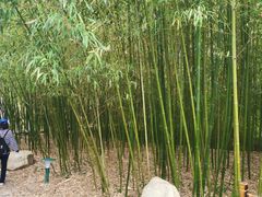 -竹泉村旅游度假区