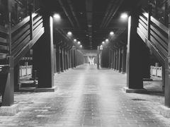 -咸阳湖景区-古渡公园