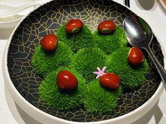 -鹿园 MOOSE(长宁店)