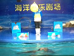 -重庆欢乐海底世界