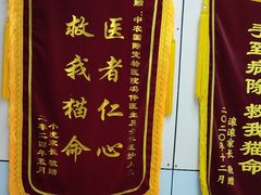 -中农国际动物医院24小时·猫科·骨科·急重症中心