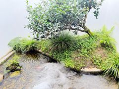 -凤凰山斑鱼馆(恭城店)