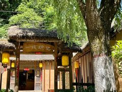 -栾川竹海野生动物园