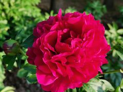 -长春公园(普阳街道)