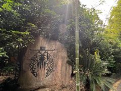 -树山生态村