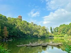 -深圳仙湖植物园