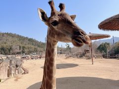 -杭州野生动物世界